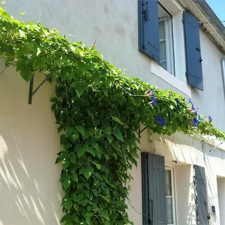 Apartment Au Coeur Des Remparts Aigues-Mortes